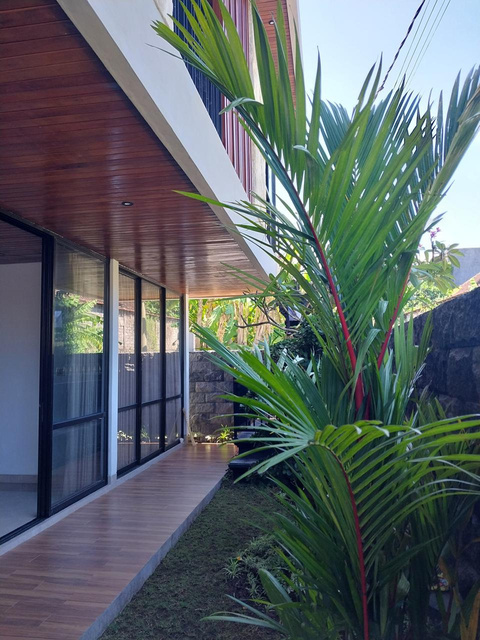 TBA House tropical garden corridor.